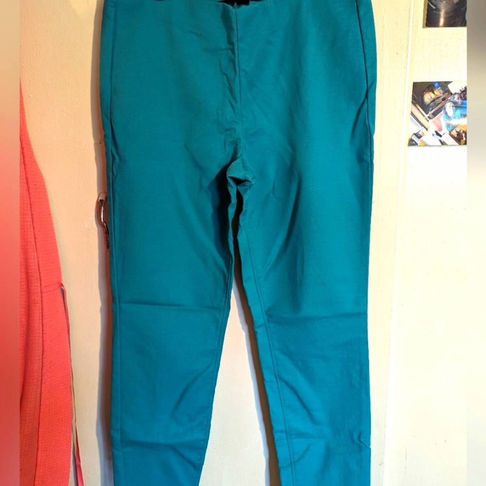 Turquoise pants